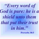Trust Bible Quotes