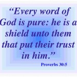 Trust Bible Quotes