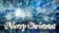 Thumbnail image for Merry Christmas from the WCWTK Staff