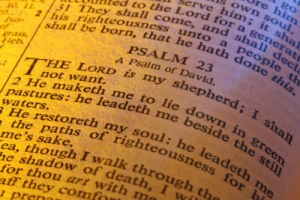  The Lord is my Shepherd.  What more should I want?