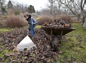 Teach them to help others who live in your neighborhood who aren’t able to take care of their yards.