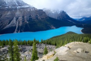 Peyto Lake in Banff National Park, Alberta, Canada