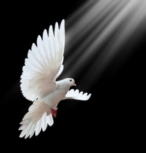 On Pentecost the Spirit came as fire. When Jesus was baptized He came like a dove.