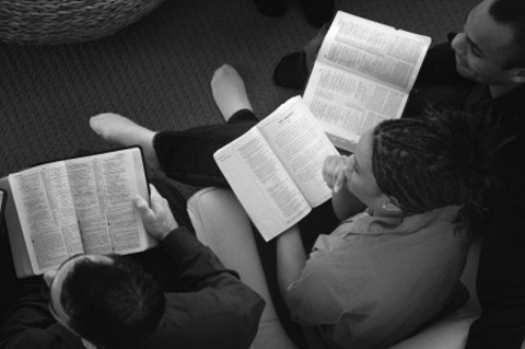 Come up with an introduction for the study and ask others to participate in the Scriptures that you intend to read. 