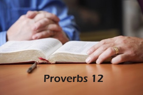 Proverbs 12 Bible Study and Commentary