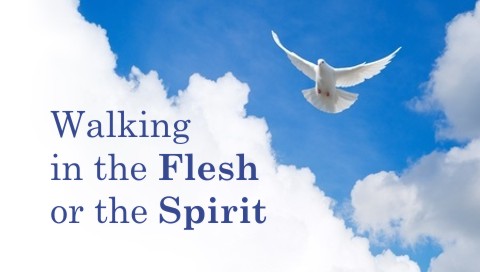 5 Differences Between Walking in the Flesh and Walking in the Spirit