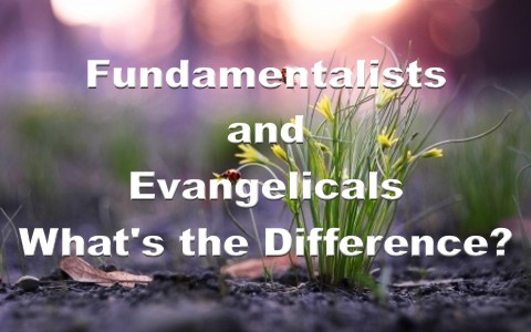 What Is The Difference Between Fundamentalists and Evangelicals