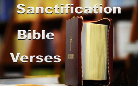 Top 10 Bible Verses About Sanctification