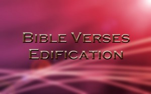 Scripture For Edification Top 8 Bible Verses About Edification