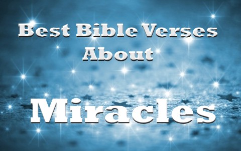 7 Of The Best Bible Verses About Miracles