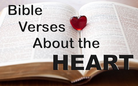 7 Encouraging Bible Verses About The Heart
