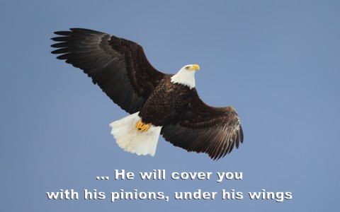 psalm 91