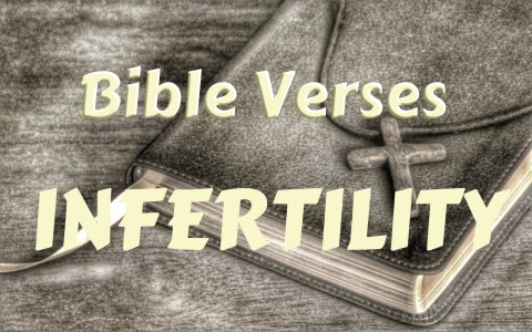 2_Top 7 Bible Verses To Comfort When Struggling With Infertility