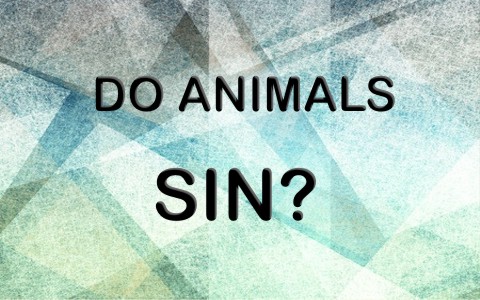 Do Animals sin