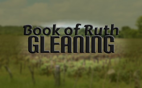 What Does Gleaning Mean In The Book Of Ruth