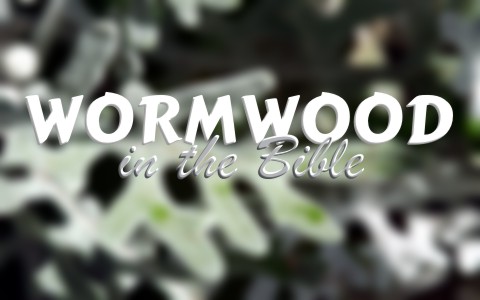 What Does Wormwood Mean When Used In Revelation
