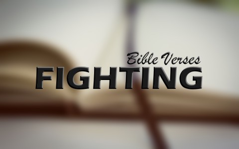 Top 8 Bible Verses About Fighting