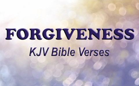 8 Awesome KJV Verses About Forgiveness