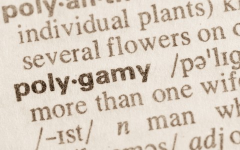 Polygamy is the state of being married to more than one partner, regardless of whether it’s a man having many wives or a wife having many husbands.