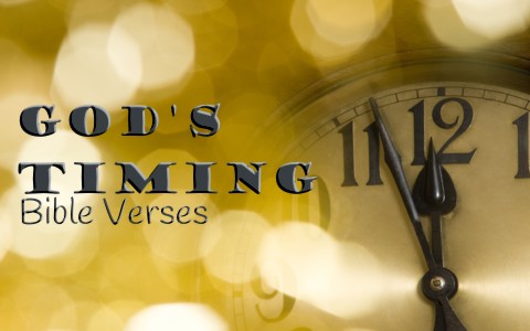 8 Favorite Bible Verses About Gods Timing