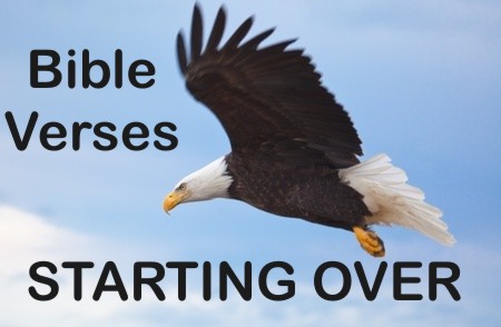 Top 7 Bible Verses About Starting Over