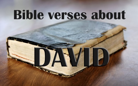 Top 7 Bible Verses About David