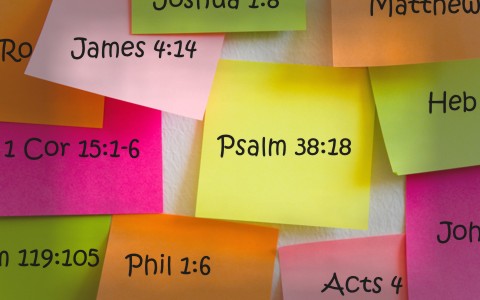 25 Great KJV Bible Verses to Memorize