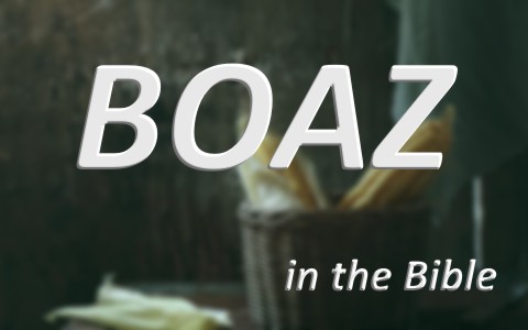 Boaz in the Bible