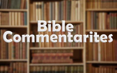 What Is A Bible Commentary