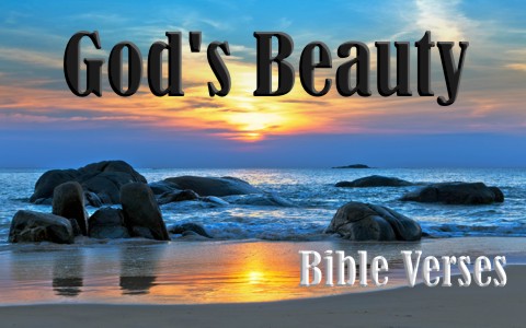 Top 7 Bible Verses About Gods Beauty