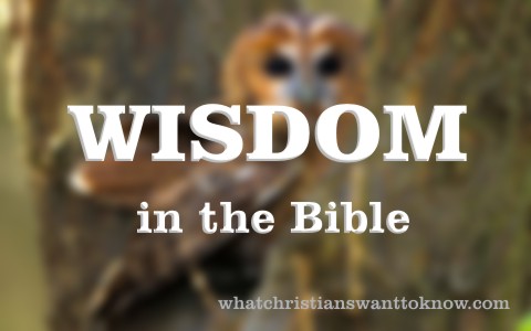 Where Does Wisdom Come From