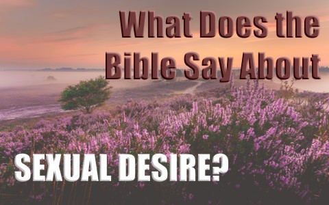 What does the bible say about sexual desire