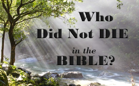 Who did not die in the Bible