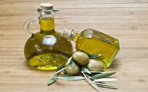 What does the olive tree or olive branch symbolize in the Bible