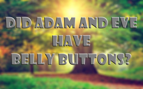 Did Adam and Eve have Belly Buttons