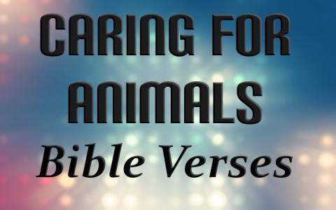 8 Awesome Bible Verses About Loving and Caring For Animals