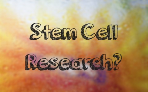 how-do-christians-view-stem-cell-research